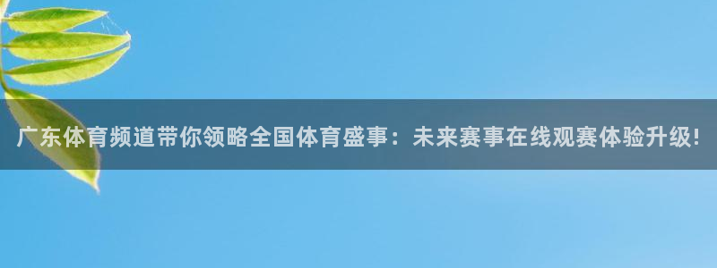 广东体育频道带你领略全国体育盛事：未来赛事在线观赛体验升级!