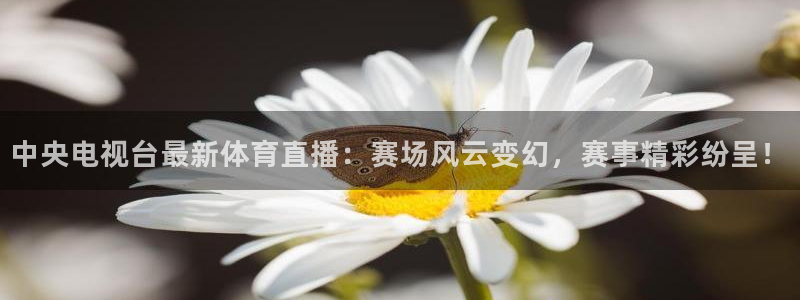 中央电视台最新体育直播：赛场风云变幻，赛事精彩纷呈！