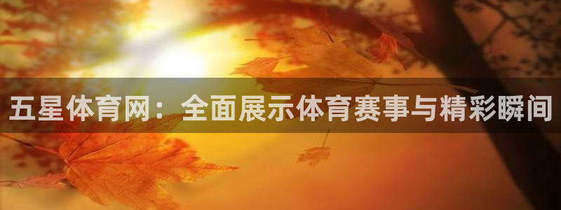 五星体育网：全面展示体育赛事与精彩瞬间