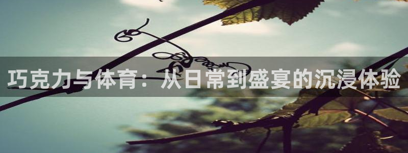 巧克力与体育：从日常到盛宴的沉浸体验