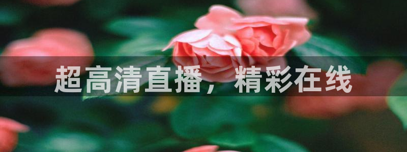 超高清直播，精彩在线