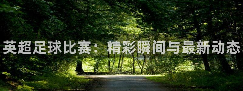 英超足球比赛：精彩瞬间与最新动态