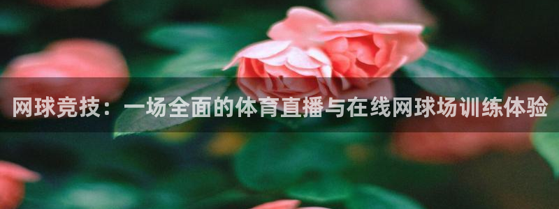 网球竞技：一场全面的体育直播与在线网球场训练体验