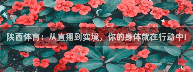 陕西体育：从直播到实境，你的身体就在行动中!