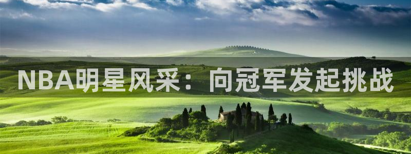 NBA明星风采：向冠军发起挑战