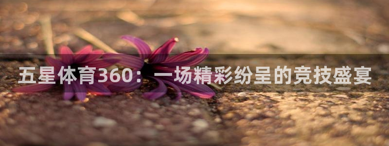 五星体育360：一场精彩纷呈的竞技盛宴