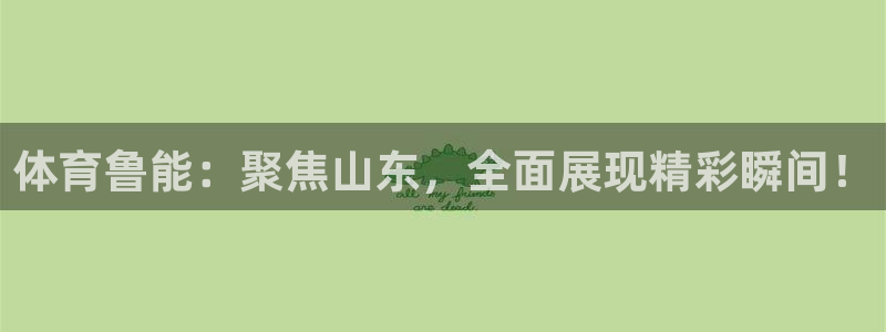 体育鲁能：聚焦山东，全面展现精彩瞬间！