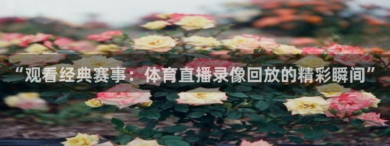 “观看经典赛事：体育直播录像回放的精彩瞬间”