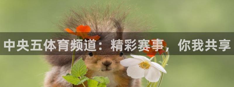 中央五体育频道：精彩赛事，你我共享