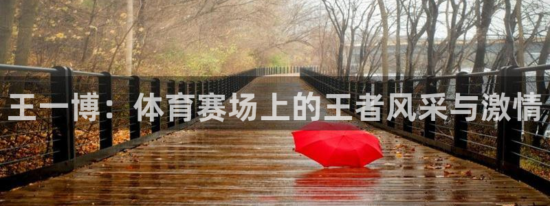王一博：体育赛场上的王者风采与激情
