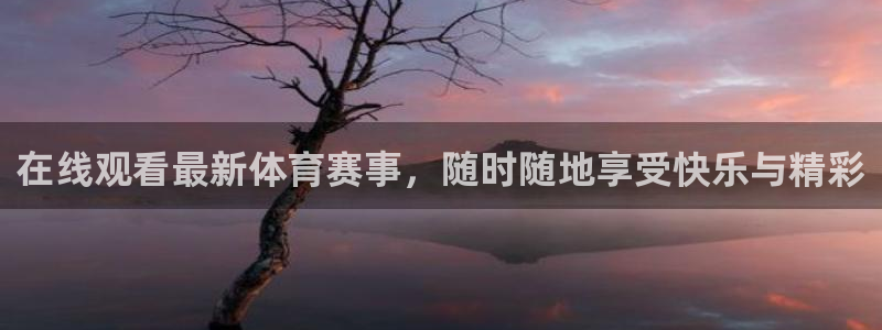 在线观看最新体育赛事，随时随地享受快乐与精彩