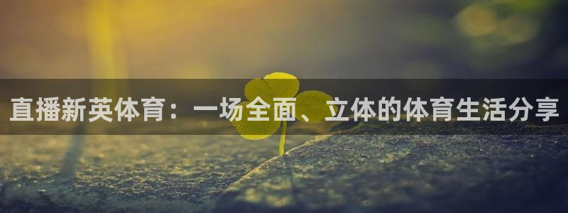 直播新英体育：一场全面、立体的体育生活分享