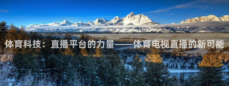 体育科技：直播平台的力量——体育电视直播的新可能