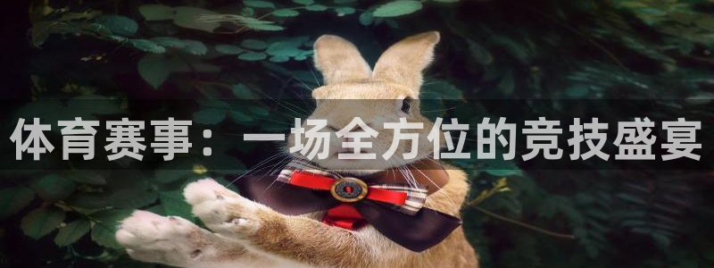体育赛事：一场全方位的竞技盛宴