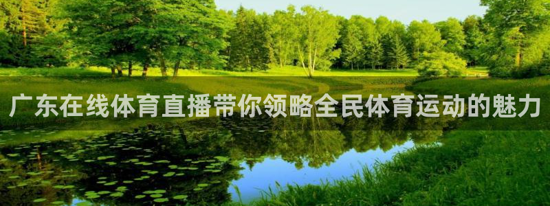 广东在线体育直播带你领略全民体育运动的魅力