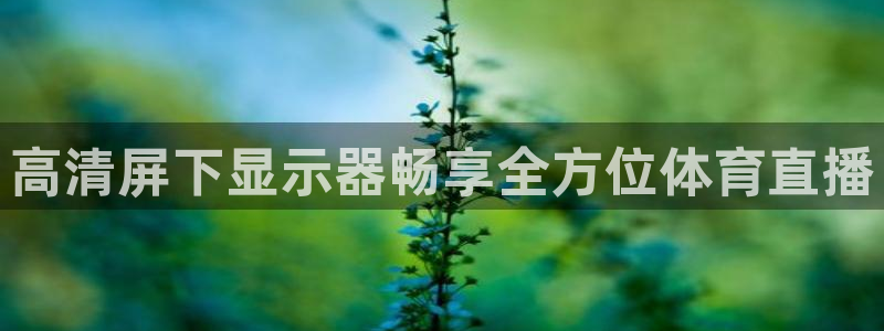 高清屏下显示器畅享全方位体育直播